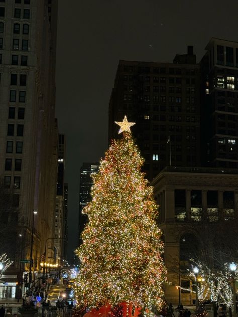 #christmas #christmastrees #chicago Chicago Christmas Aesthetic, Philly Christmas, Macys Christmas, Chicago Christmas Tree, Christmas Chicago, Christmas In Chicago, Chicago Christmas, City Christmas, Christmas Themes Decorations