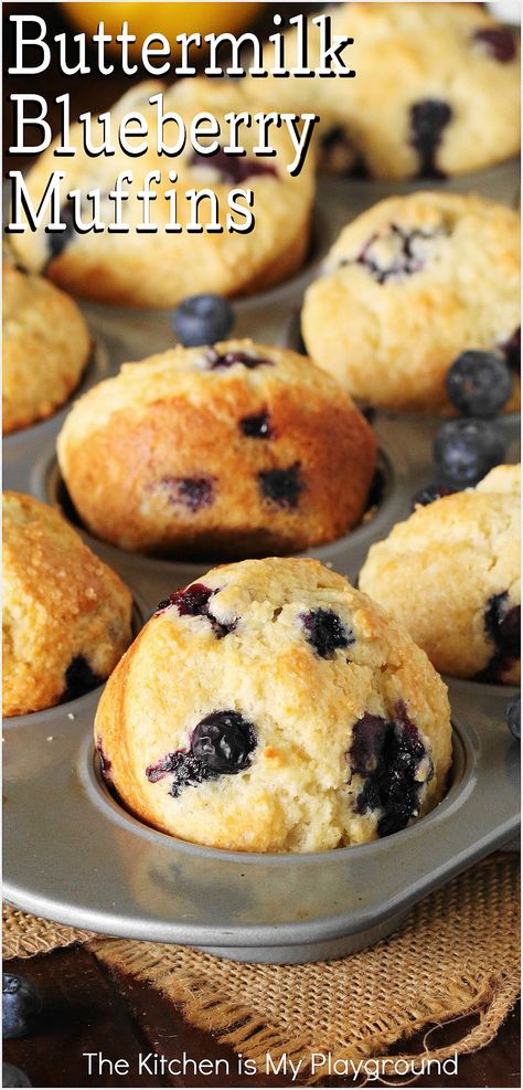 Buttermilk Blueberry Muffins in baking pan Blueberry Buttermilk Muffins, Blueberry Recipes Easy, Blueberry Zucchini Muffins, Savory Biscuits, Buttermilk Blueberry Muffins, Brunch Pastries, Buttermilk Blueberry, Buttermilk Muffins, Dessert Cravings