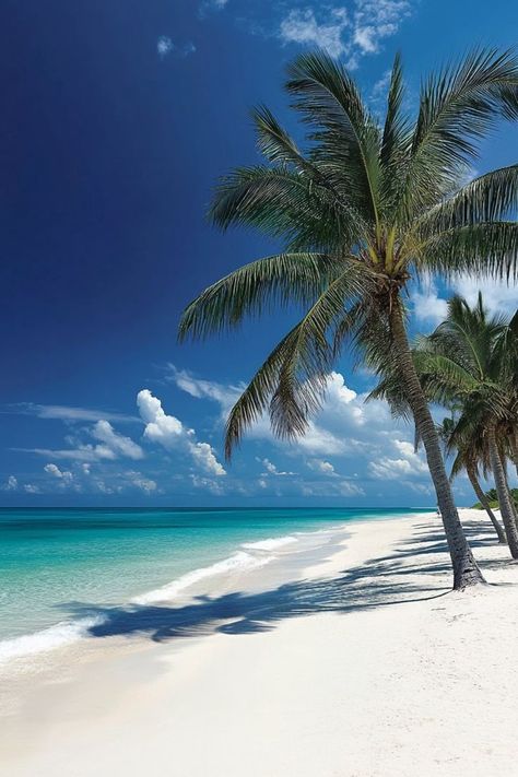 Experience Paradise at Grace Bay Beach in Turks and Caicos 🏝✨ Relax on the pristine shores of Grace Bay Beach, known for its powdery white sands, crystal-clear turquoise waters, and vibrant coral reefs. Perfect for a luxurious and serene beach escape. 🌿🌞 #GraceBayBeach #TurksAndCaicos #BeachParadise #TravelInspiration Beaches Turks And Caicos, Grace Bay Beach, Beautiful Beach Pictures, Grace Bay, Coral Reefs, Dream Holiday, Beach Paradise, Turquoise Water, Tropical Islands