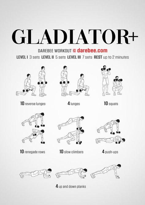 Gladiator Plus Workout Valkyrie Workout, Renegade Rows, Strength Program, Reverse Lunges, Body Strength, Training Plan, Total Body, Home Workout, Program Design