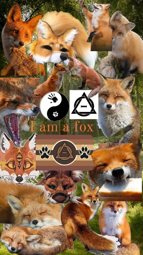 Feel free to use as a background ~ do not repost #fox #therian #therianthropy #background #fyp #foryoupage #foryou #beyourself #foxtherian Fox Background, Monkey Icon, Fox Pictures, Wild Animals Pictures, Maybe In Another Life, Wolf Wallpaper, Cat Mask, Cute Doodles Drawings, Animal Masks