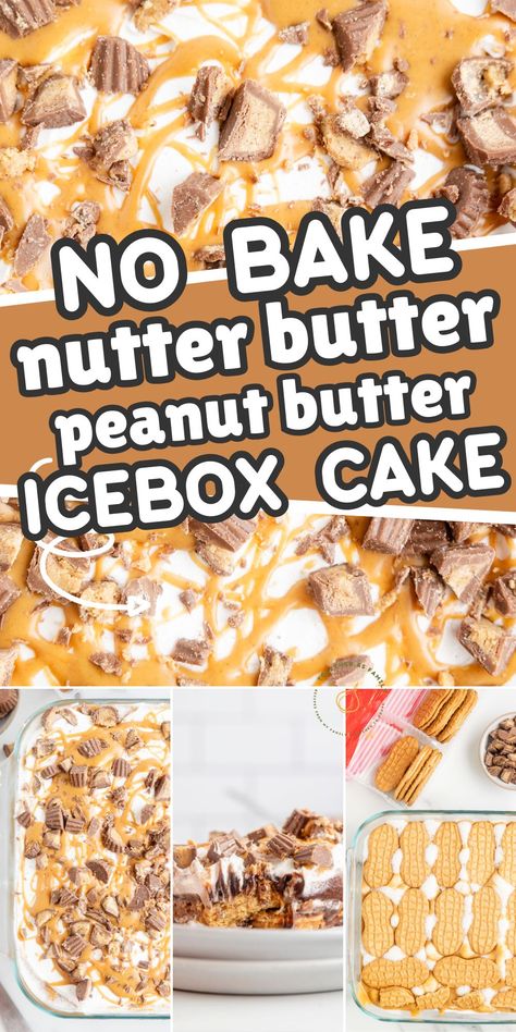 Nutter Butter Ice Cream Cake, Nutter Butter Ice Box Cake, Nutty Butter Dessert, Nutter Butter Dip, Nutter Butter Cheesecake Recipes, Nutter Butter Lasagna, Nutter Butter Lasagna Desserts, No Bake Peanut Butter Eclair Cake, Quick Peanut Butter Dessert