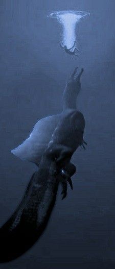 Thalassaphobia 
Spinosaurus 
Horror
Lovecraft Aquaphobia Art, Fear Of Deep Water Phobia, Thalassophobia Scary Underwater, Phobia Of Ocean, Thallasophobia Pictures, Thalassophobia Pictures, Deep Sea Aesthetic Dark, Thalassophobia Aesthetic, Paleontology Aesthetic