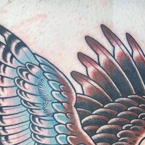 𝕮𝖚𝖗𝖙 𝕭𝖆𝖊𝖗 on Instagram: "Red Tailed Hawk Tuah for the homie Kyle! Thanks buddy I appreciate you! #ironmountaintattoo #femtn #redtailedhawk #hawktuah #hawktattoo" Redtail Hawk Tattoo, Red Tailed Hawk Tattoo, Redtail Hawk, Hawk Tattoo, Iron Mountain, Red Tailed Hawk, Tattoo Portfolio, Portfolio Ideas, I Appreciate You