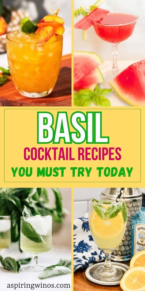 Basil Cocktails: Elevate Your Happy Hour with Fresh Flavors | Fresh Herb Cocktail Recipes | Basil Infused Cocktail Recipes | Amazing Fresh Cocktails You Need to try | Basil Cocktail Recipes #Basil #BasilCocktails #BasilRecipes #Cocktail #CocktailRecipes #FreshHerbCocktails Basil Cocktail Recipes, Basil Cocktails, Basil Drinks, Strawberry Basil Margarita, Fresh Cocktails, Spicy Margarita Recipe, Basil Simple Syrup, Basil Cocktail, Strawberry Basil Lemonade