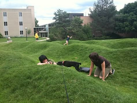 The Wave field by Maya Lin - Free interaction Children Playground, Maya Lin, Public Space Design, Urban Landscape Design, School Garden, Nature Play, Outdoor Playground, Historic Preservation, Outdoor Landscaping