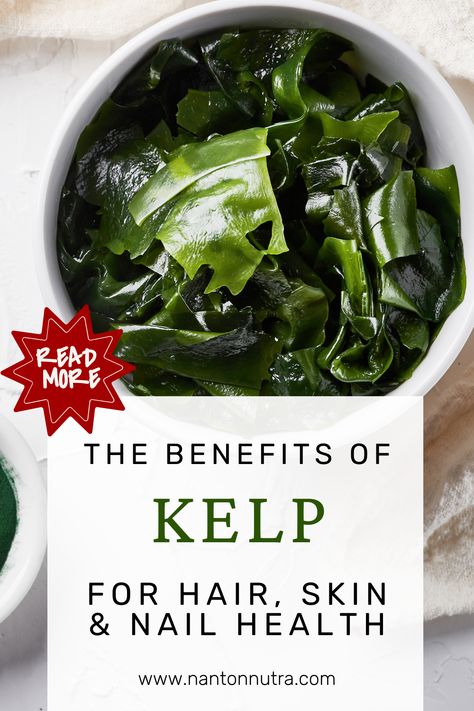 Kelp is a variety of seaweed that has incredible benefits for hair, skin and nails health. Know how to incorporate it in your diet and the best Canadian kelp supplement available in market! Sea Kelp Benefits, Kelp Benefits, Nails Health, Sea Vegetables, Hair Skin And Nails, Healthy Lifestyle Habits, Did You Eat, Essential Vitamins, Nail Health