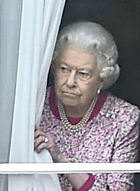 Queen Elizabeth peeking out the window Queen Elizabeth Ii Funny, Queen Elizabeth Memes, Ratu Elizabeth, Elizabeth King, Royal Family Fashion, Queen Liz, Queen Elisabeth, Rainha Elizabeth Ii, Kate And Meghan