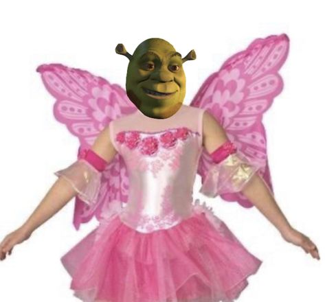 She Was A Fairy, Fairy Costume, Shrek, Celebrity Couples, Pink