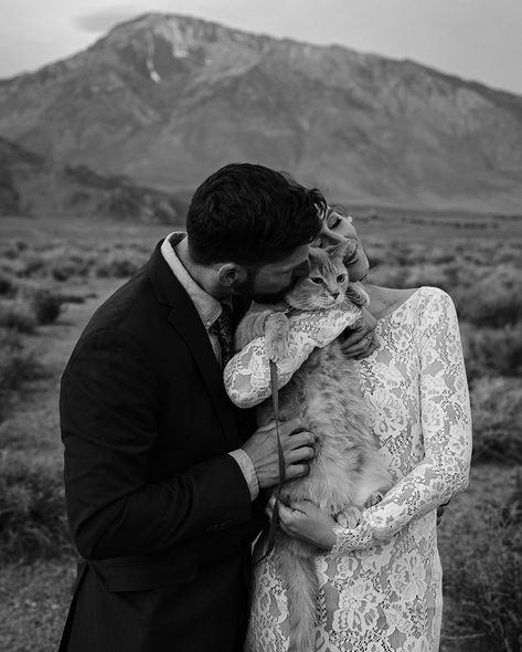 I’m cat-sitting this week so let’s talk about eloping with pets! There’s nothing quite like inviting your furriest family members on your photoshoots. Or yes, even on your wedding day! So how can you make the most out of bring your pet along on the big day? 🐱 Bring a leash 🐈 Check local restrictions 🐈‍⬛ Be wary of triggers 🐱 Check the weather 🐈 Bring toys and treats 🐈‍⬛ Be prepared for candids 🐱 Bring a lint roller and disposable baggies 🐈 Be patient and have fun Would you bring your pet... Cat Family Photos, Cat In Wedding, Prenup With Cats, Prewedding Ideas With Cat, Cat Wedding Photos, Cat Family Photo, Wedding Photos With Cats, Engagement Photos With Dog And Cat, Wedding Fur