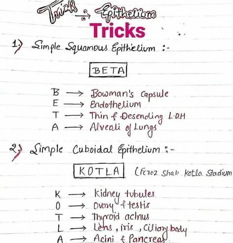 Mnemonics For Neet, Mnemonics For Biology Neet, Neet Exam Notes Biology Tricks, Biology Tricks, Study Tricks, Medical Terminology Study, Bio Notes, Biochemistry Notes, Neet Notes