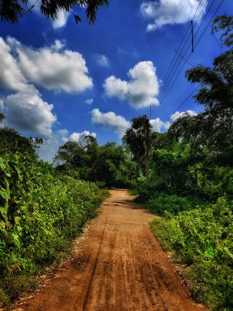 Bankura, West Bengal, India Rural Area, West Bengal, Photo To Video, Country Roads, India, Road, Photography, Quick Saves