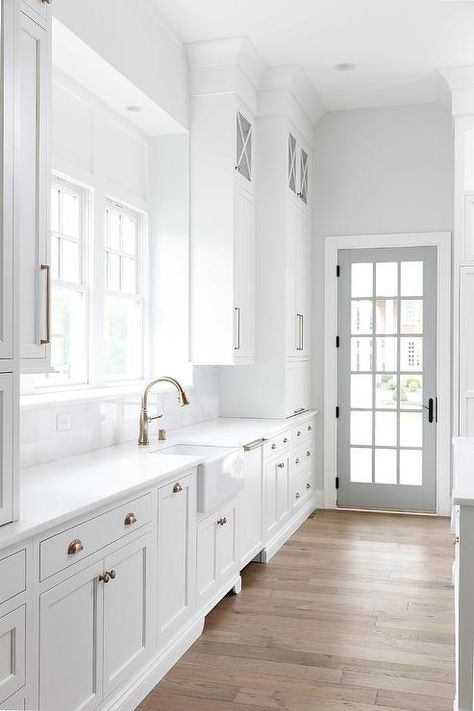 White Galley Style Pantry with Gray Door - Transitional - Kitchen House Development, White Shaker Cabinets, Style Pantry, Kitchen White, Kitchen Ceiling, Shaker Cabinets, Galley Kitchen, Inspiration Photos, Transitional Kitchen