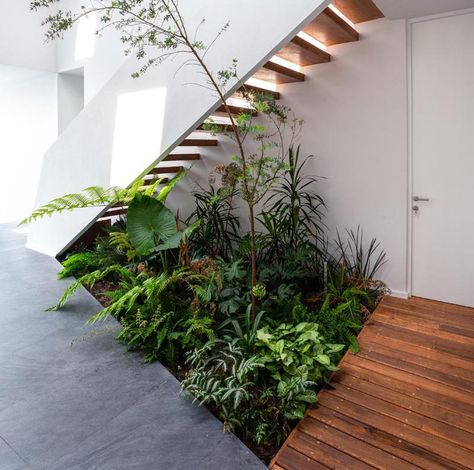 Jaime Juarez Arquitecto has designed a house in Morelia city, Mexico, that features a small indoor garden underneath the stairs. #IndoorGarden #StairDesign #Plants #InteriorDesign Small Garden Under Stairs, Tattoo Plant, Garden Stairs, Stair Case, Outdoor Stairs, Walter Gropius, Stair Decor, Modern Staircase, Décor Boho