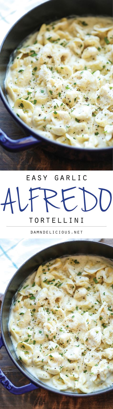 Easy Garlic Alfredo Tortellini - So simple, so easy, and just amazingly creamy. Best of all, it comes together in just 20 min from start to finish! Seafood Marinara, Alfredo Tortellini, Tortellini Recipes, Good Eat, Think Food, Goulash, Alfredo Sauce, Spaghetti Squash, Italian Dishes