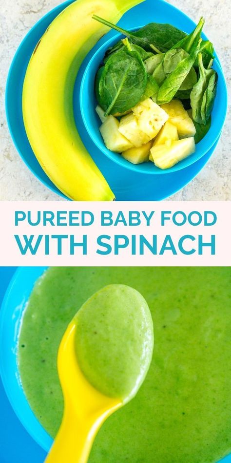 Spinach Puree Baby Food, Food With Spinach, Baby Dinner Ideas, High Calorie Baby Food, Toddler Recipe, Baby Spinach Recipes, Baby Purees, Recipe With Spinach, Easy Homemade Baby Food