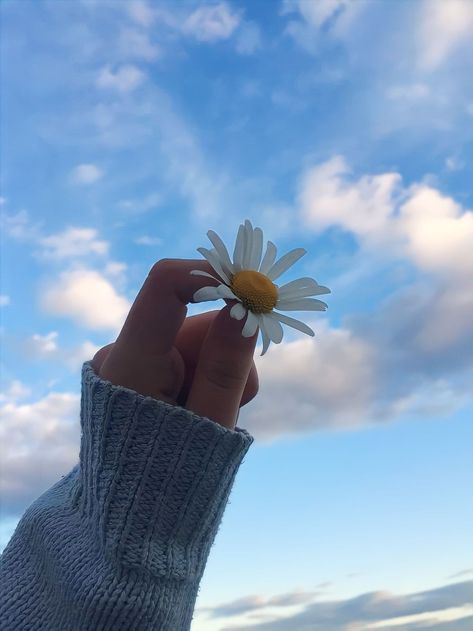 Hand Photo's with flower Daisy Flower Aesthetic, Flower In Hand, Best Flower Wallpaper, Facial Recipe, Food Art Painting, Insta Dp, Easy Photography Ideas, Beautiful Profile Pictures, Hand Photography