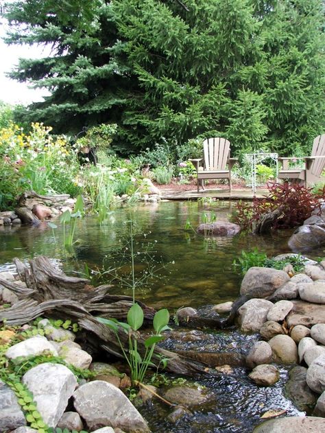 stream-leaving-pond Garden Edging Stones, Small Backyard Ponds, Quiet Nature, Natural Swimming Ponds, Garden Pond Design, Small Pond, Fountains Backyard, Pond Water Features, Pond Landscaping