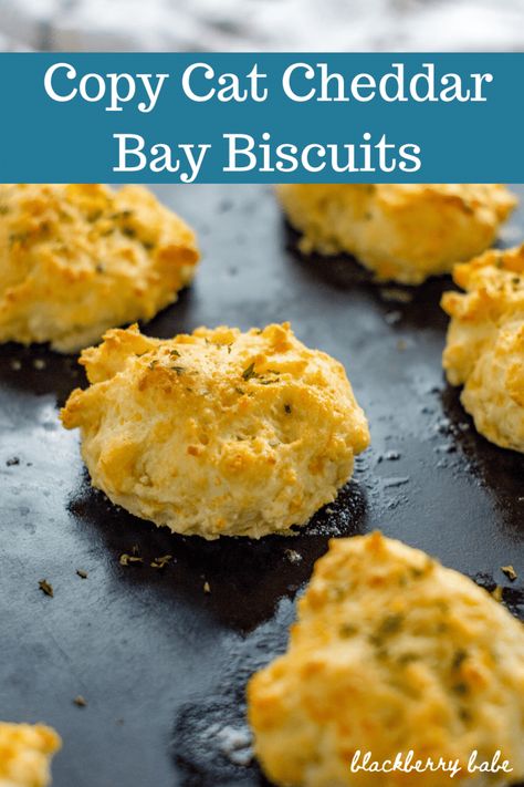 Easy Cheddar Biscuit Recipe, Bisquick Cheddar Biscuits, Biscuits Cheddar, Copycat Red Lobster, Bisquick Biscuits, Red Lobster Cheddar Bay Biscuits, Red Lobster Biscuits, Cheesy Biscuit, Yummy Biscuits