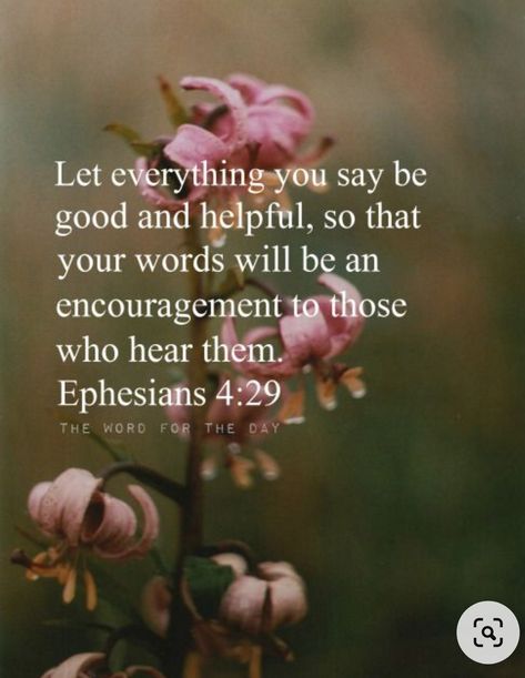 Ephesians 4 29, Vertrouw Op God, Word For The Day, Hope In Jesus, Spring Quotes, Sacred Scripture, Cuss Words, Sunday Quotes, Biblical Verses