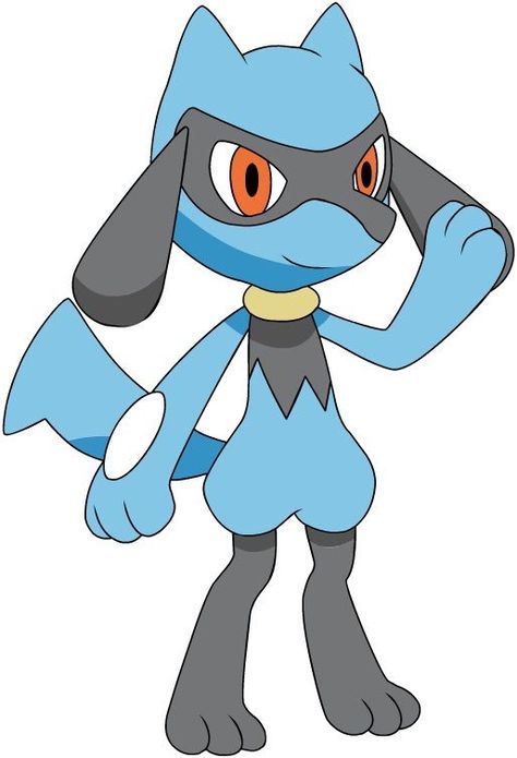 Say hi Riolu! Pokemon Blastoise, Pokemon Wiki, Pokémon Diamond And Pearl, Baby Pokemon, Lucario Pokemon, Pikachu Pikachu, Pokemon Firered, Pokémon Diamond, Pokemon Sketch