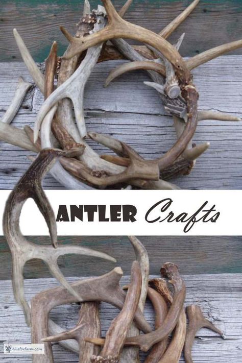 Deer Antler Crafts Projects Diy, Diy Lodge Decor, Antler Art Diy, Deer Antler Crafts Ideas, Deer Antler Crafts Diy, Antler Crafts Diy, Antler Display Ideas, Horn Decorations, Deer Horn Ideas