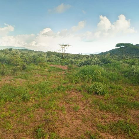 This property offers an exceptional opportunity for various purposes on its expansive 3-acre plot located in Kimuka-Ngong, along the Ngong-Suswa road. With a total land size of 3 acres, it presents versatility for a range of potential uses: Farming: The vast land area provides ample space for agricultural activities such as crop cultivation, horticulture, or even livestock farming. Residential Development: With its strategic location, the property is ideal for developing residential units, wh... Livestock Farming, How To Buy Land, Real Estate Development, Horticulture, Real Estate Marketing, Real Estate Agent, Real Estate, The Unit, Road