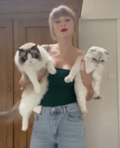 Taylor Swift Cat, Taylor Swift New, Taylor Swift Cute, Olivia Benson, Meredith Grey, Long Live Taylor Swift, Live Taylor, Taylor Swift Fan, Swift 3