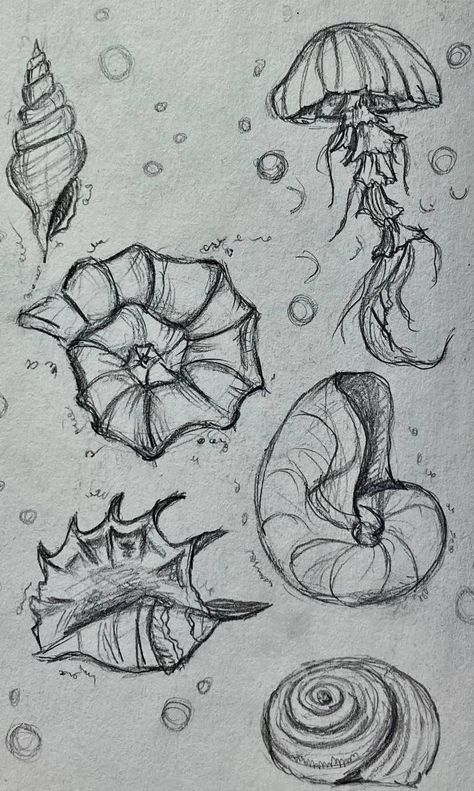 Drawing References Scenery, Aesthetic Sketches Ideas Cute, Sea Theme Drawing, Under Sea Creatures, Mythical Sea Creatures Drawing, Aquatic Sketches, Creative Things To Draw Sketchbooks, How To Draw Ocean Animals, Things To Trace Drawings