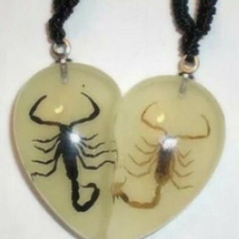 Dreamer Aesthetic, Bug Necklace, Creepy Crawlies, 2 People, Grunge Aesthetic, Cute Anime Couples, Scorpion, Cute Jewelry, Aesthetic Pictures