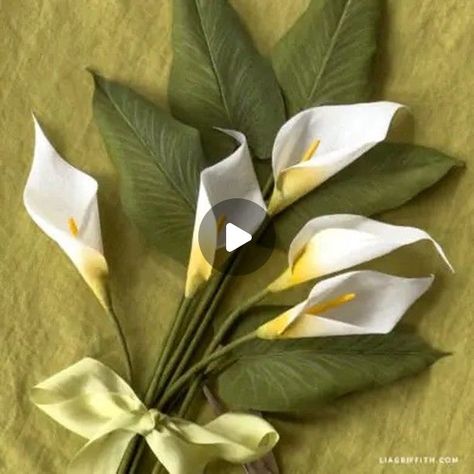 White Calla Lilies, Flower Planting, Wafer Paper, Calla Lilies, Crepe Paper, Calla Lily, Flora And Fauna, How To Grow, Paper Flowers