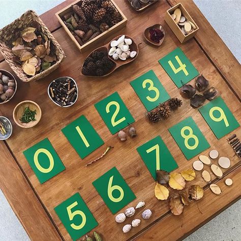 Working on number with my little friends this week 🍃🍂 Love my sandpaper numbers from @educating_kids 💚 #reggioinspired #reggioemiliainspired #reggioinfluenced #reggiokids #naturalclassroom #kindymaths #numbersense #handsonlearning #learningthroughplay #kindy #kindylife #kindergartenteacher #teachersofinstagram #getcreativewith @get.creative.with    #Regram via @themagicofplay) Early Years Maths, Numeracy Activities, Loose Parts Play, Reggio Inspired Classrooms, Reggio Classroom, Literacy And Numeracy, Nature School, Montessori Math, Mental Math