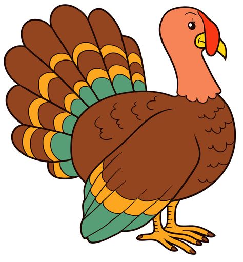 Thanksgiving Turkey Pictures, Thanksgiving Turkey Images, Turkey Clip Art, Pictures Of Turkeys, Turkey Drawing, Turkey Cartoon, Thanksgiving Cartoon, Thanksgiving Clip Art, Turkey Images