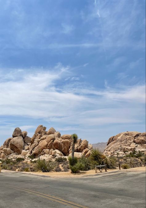 Joshua Tree Birthday, Joshua Tree Aesthetic, Desert Birthday, Climbing Aesthetic, Tree Aesthetic, California Aesthetic, Desert Aesthetic, Pretty Views, Usa Trip