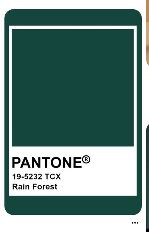 Pantone Rain Forest, Pantone Green, Pantone Colour Palettes, Royal Green, Pantone Colors, Uk Homes, Peacock Green, Tropical Rainforest, Autumn 2024