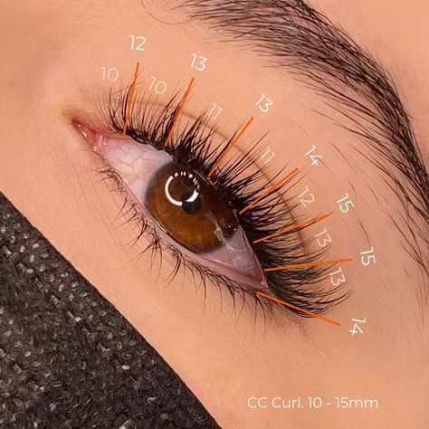 Hybrid Lash Map Eyelash Extensions Map Eyelash Extensions, Hybrid Lash Map, Eyelash Extensions Classic, Eyelash Extensions Care, Eyelash Extensions Salons, Lash Map, Natural Fake Eyelashes, Lashes Fake Eyelashes, Eyelash Tips