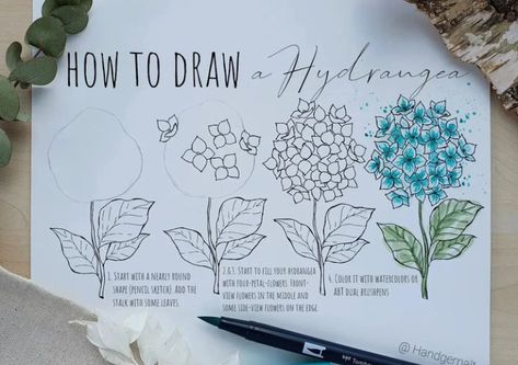 Hydrangea Drawing, Hydrangea Art, Watercolor Hydrangea, Pencil Techniques, Watercolor Quote, Draw Flowers, Flower Drawing Tutorials, Paint Flowers, Art Sketches Doodles