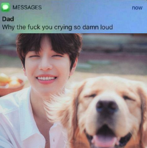 seungmin meme dog Why Are You Crying, Meme Template, Memes, Quick Saves