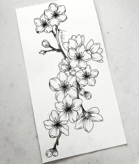 Branch Drawing, Tattoo Dotwork, Tato Henna, Realistic Rose, Blossom Tattoo, Cherry Blossom Tattoo, Flower Sketches, Plant Drawing, Sleeve Tattoo