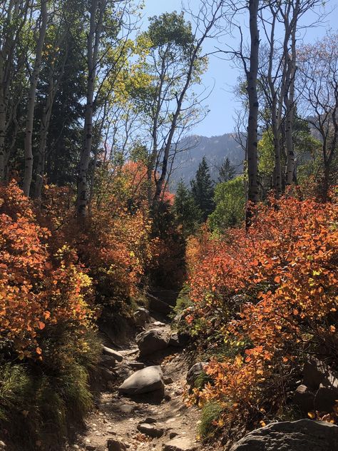 Hiking Aesthetic Fall, Fall Hike Aesthetic, October Theory, Fall Hiking Aesthetic, Campus Photoshoot, Utah Fall, Hiking Fall, Utah Hiking, Fall Hike