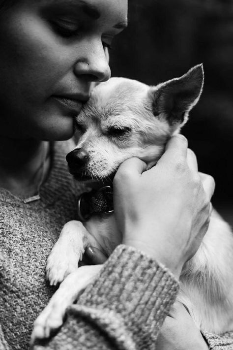 Elderly Dog Photoshoot, Pet Photoshoot With Owner, Small Dog Photoshoot, Dog Photoshoot Ideas With Owner, Puppy Photoshoot Ideas, Dog Owner Photography, Dog Owner Photoshoot, Goodbye Photos, Family Dog Photos