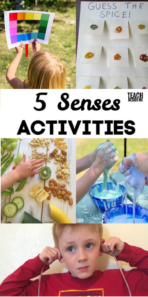 Teach kids about their five senses with these sensory activities for kids! Sight, sound, touch, taste, smell #science #fivesenses #sensory #preschoolscience #preschool #5senses Senses Activities For Kids, 5 Senses Craft, Five Senses Activities, 5 Senses Preschool, Five Senses Preschool, 5 Senses Activities, Senses Preschool, My Five Senses, Senses Activities