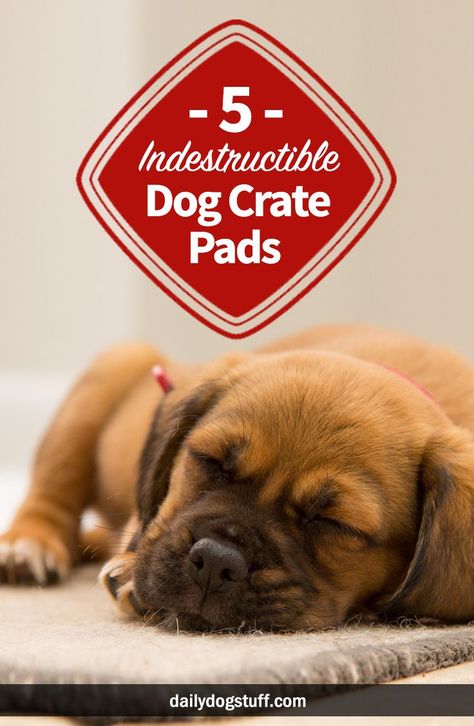 Kennel Training A Puppy, Building A Dog Kennel, Crate Training Dog, Training A Puppy, Indestructable Dog Bed, Dog Crate Pads, Dog Training Techniques, Dog Care Tips, Dog Obedience