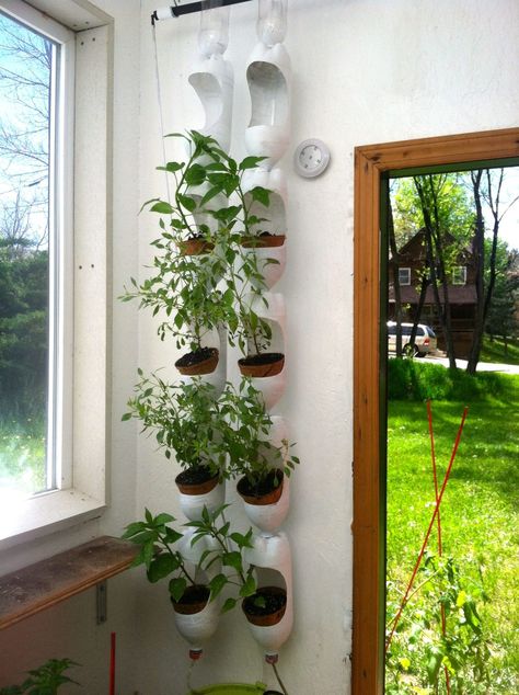 Having your favorite fresh herbs close by for cooking is possible, even if you don't have lots of space. Just create a vertical herb garden! See our ideas. Vertical Garden Design, Reuse Plastic Bottles, Vertical Vegetable Garden, Vertical Herb Garden, Vertical Garden Diy, Tower Garden, Diy Macrame Plant Hanger, Bottle Garden, Pallet Garden