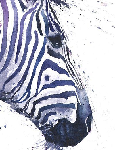 ZEBRA-PRINT Wandkunst Aquarell Malerei Zebradekor von SignedSweet,  #aquarell #malerei #print #signedsweet #wandkunst #zebra #zebradekor Check more at http://diyhaustiere.ml/zebra-print-wandkunst-aquarell-malerei-zebradekor-von-signedsweet/ Zebra Painting Abstract, Zebra Decor, Zebra Wall Art, Zebra Painting, Zebra Art, Wildlife Paintings, 수채화 그림, Arte Animal, Watercolor Animals