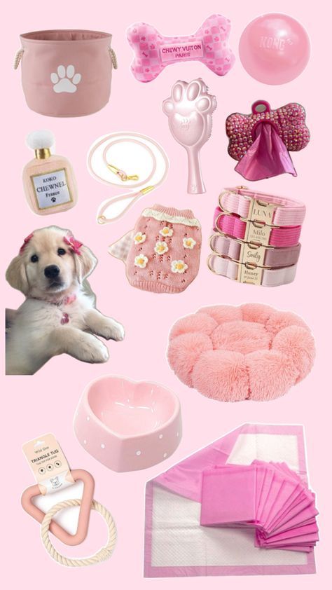 Pink Puppy Aesthetic, Puppy Aesthetic, Puppy Items, Cat Bedroom, Pink Puppy, Puppy Accessories, Very Cute Dogs, Animal Room, Cute Animals Images