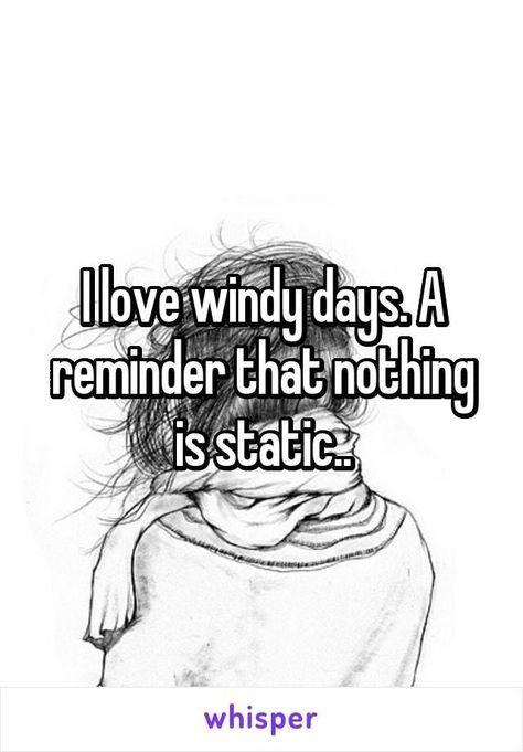 Windy Day Quotes, Windy Quotes, Windy Hair, Hair Quotes Funny, Pullman Washington, Funny Weather, Funny Morning, Days Quotes, True Confessions