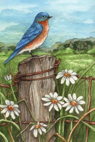 size: 18x12in Giclee Print: Bluebird In The Daisy Meadow by Melinda Hipsher : Bird Paintings On Canvas, Bird Watercolor Paintings, Diamond Paintings, Fence Post, Autumn Painting, The Sunrise, Diy Canvas Art Painting, Beautiful Watercolor, Bird Drawings