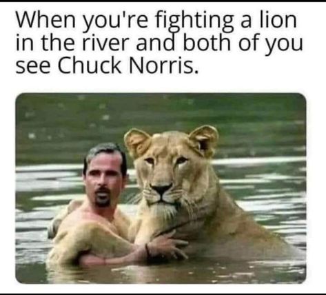 Chuck Norris Memes, Chuck Norris Funny, Neal Schon, Chuck Norris, Humor, Memes, Funny