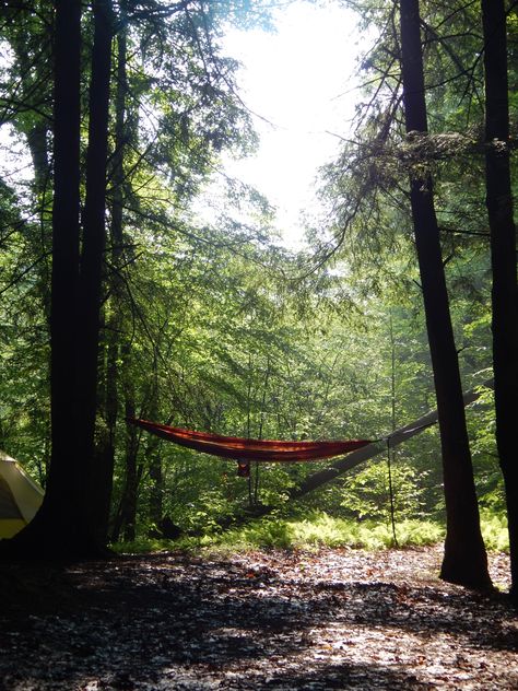 Camping trips and sleeping in a hammock Forest Hangout, Forest Hammock, Hammock Aesthetic, Sleeping In A Hammock, Mako Island, Sleeping Hammock, Deep Summer, Hammock Camping Gear, Shrimp Balls